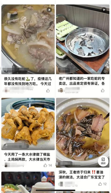 吃蛇肉報應|真的别吃了，都辟谣了！重要提醒！